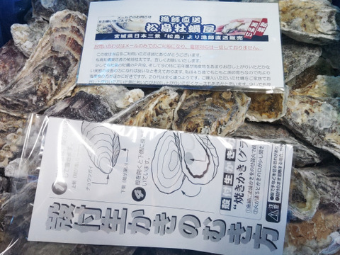 【水産庁補助事業　送料無料】 ❄️ 生食用 １３ｋｇ 殻付き 牡蠣 急速凍結 （冷凍牡蛎）松島牡蠣屋直送 🔥 BBQ/パーティーに！貝類 海産物 oyster 😋冷凍牡蠣 貝類 二枚貝　B