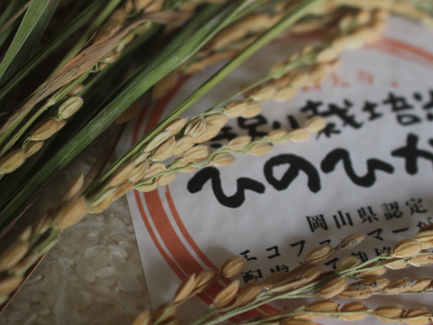 【残りわずか】もっちり甘い*令和６年産特別栽培米ヒノヒカリ　白米５kg