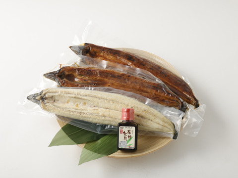 「【食欲の秋到来!!】」【幻の海水うなぎ】【ミシュラン御用達】【伊勢神宮奉納うなぎ】【限定生産】海水育ちの〝天草藍うなぎ〟紅白3～4セット