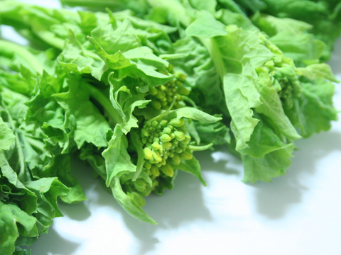 【菜花】菜花1kg 農薬・化学肥料不使用栽培