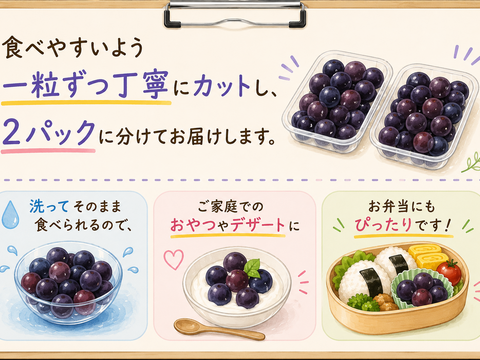 朝採れ新鮮！ナガノパープル　粒・ばら売り（ご家庭用：２パック・約１ｋｇ（２房分））