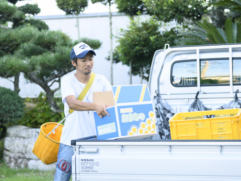 山乃神農園　甘夏フルーツソース 無添加・低温濃縮  栽培期間中農薬不使用