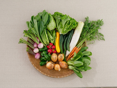 信州産朝採れ！おまかせ旬の野菜セットB
