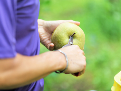 濃厚な甘さと瑞々しさが絶賛の【梨：幸水】9～5個程度（3㎏程度）