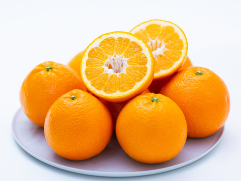 【柑橘食べ比べ】伊予柑＋デコ（不知火）各２㎏（合計4㎏） ※2月発送開始