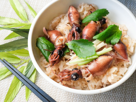 新鮮な朝獲れ鮮度を即冷凍！！《富山湾》🦑生ほたるいか🦑3パック