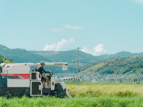 令和8年米　特別栽培米コシヒカリ 10㎏