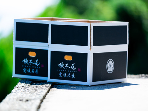 【プチプチ甘い！】玉宝甘平（２kg×２箱）（贈答用）※２月上旬発送