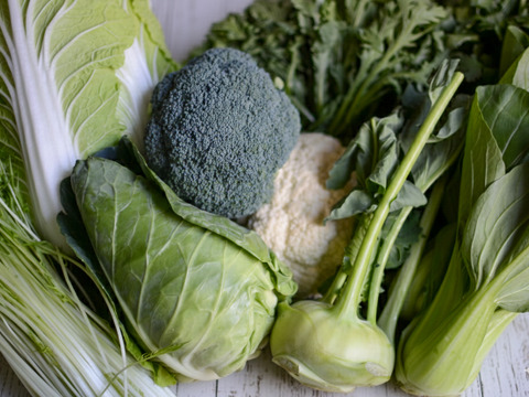 【旬の上州野菜】Sサイズ（5~6品目）梱包まで丁寧に