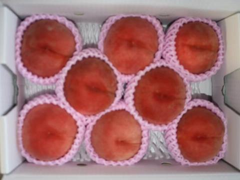 お買い得!まるせい果樹園の桃　晩生種【おまかせ】2kg　(4～11玉)自家用　贈答用　om3