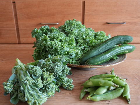 『新もの3兄弟入り！』旬の野菜セット9品前後〈農薬等不使用栽培〉100サイズ