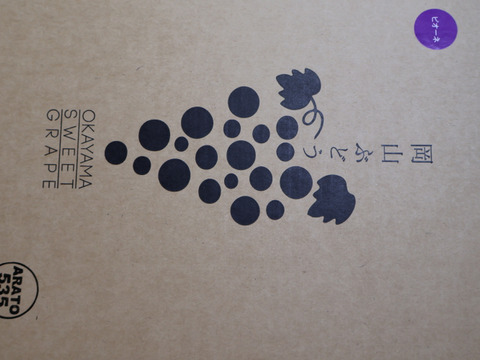 岡山県新見市産　標高が高い畑で作った！大粒！味が濃い！果汁たっぶり！ニューピオーネ　３～４房（1.8kg以上）×2箱