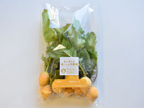 和らぎ農法　黄金かぶ　大（1袋）（3～8個）