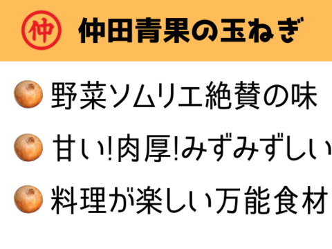 【野菜ソムリエサミット金賞🏆】淡路島玉ねぎ10kg
