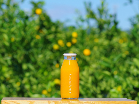 夏ギフト】日下みかんストレートジュース 瓶180ml×12本入：静岡県産の