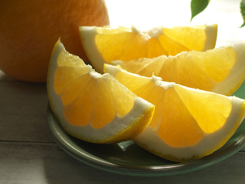 夏ギフト】🍊わずか3%の希少な柑橘🍊断崖絶壁で収穫される『幻の 夏ギフト】🍊わずか3%の希少な柑橘🍊断崖絶壁で収穫される『幻の