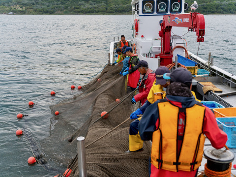 イクラ醤油漬け 100g×2パック／3D冷凍