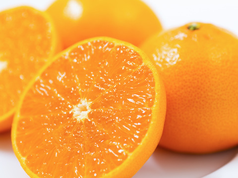 【早割】柑橘の大トロせとか！（ご家庭用・２㎏）※２月下旬発送開始