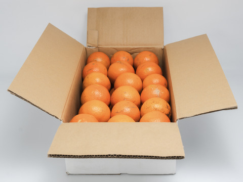 果汁たっぷり！屋久島産たんかん【ご家庭用・5kg】