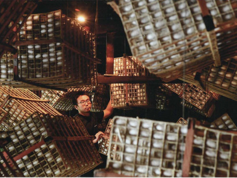 【冬ギフト】お買得！《3Lサイズ 13本前後》お蚕さまも手伝う「泥付き下仁田ネギ」3.2㎏