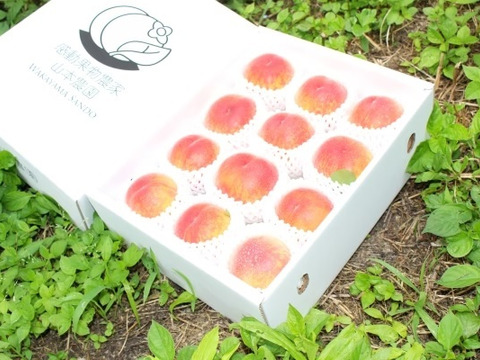 【父の日ギフト】予約 【糖度14度以上保証】”まるでスイーツ”感動桃 12玉前後約1.3kg