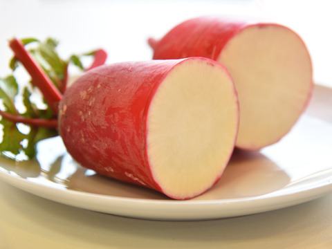和らぎ農法　サラダ赤大根　大（1～2本）