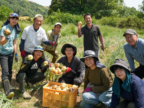 【淡玉10kg】甘くてみずみずしい！淡路島の恵みと手間ひまが詰まった新玉ねぎ