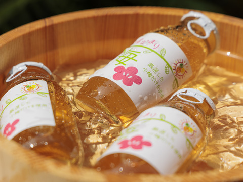 【自然栽培】梅ドリンク 30％うめ果汁入り飲料（180ml×8本セット）