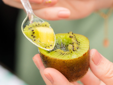 【迷ったらこちら!!】キウイセット３種！この道50年！プロキウイ農家おすすめ季節限定3品種が入るお任せキウイセット：16個前後入り【熨斗対応可】L3