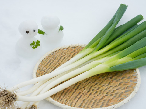 冬季限定！姫雪ねぎ（2.５kg）