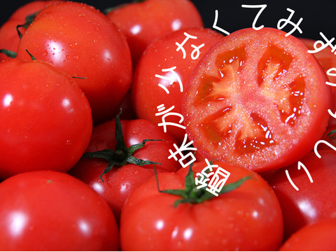 【6月18日終了】【食べ比べ】ソムリエトマト　約800gとソムリエミニトマト　ダイヤ800gのセット