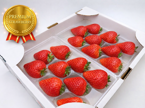 ジュワ～と果汁！贈答用！完熟とちあいか！やさしく苺を包むゆりカーゴ梱包！今話題の甘さが際立つ品種です！
約270g×2パック