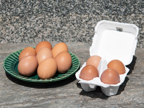 自然栽培　丹波産コシヒカリ　4.5kg（5分）＋　丹波産コシヒカリ　1kg　＋　卵パック　3パック
