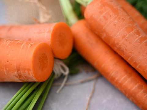 【臭みという言葉を知らない人参】食卓を彩る絶品人参❗️5kg！甘みたっぷり！生でも美味しい！希少価値高い品種！料理しやすいサイズをお届け！食卓に鮮やかなオレンジ色を🧡