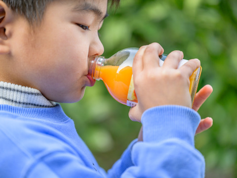 nalu juice有田みかん250㎖ 6本セット 無添加果汁100%みかんジュース🍊