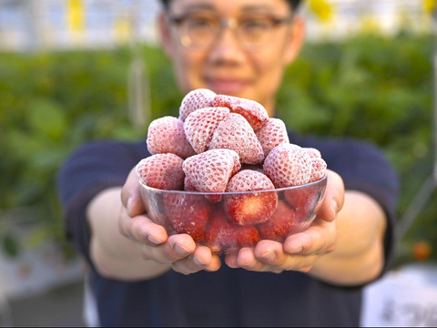 【冷凍完熟いちご】《農場の完熟いちごをギュッと冷凍しました》1kg入り　佐賀県基山町産