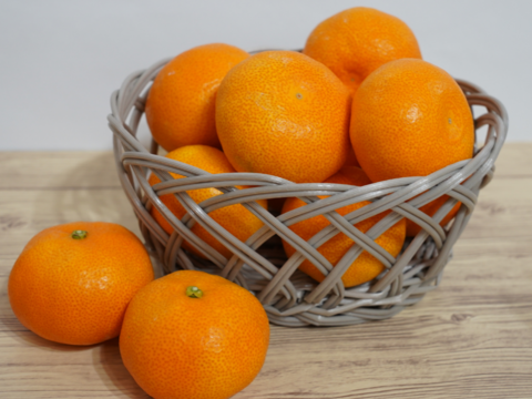 夏に美味しい唐津の極上みかん♡おためしサイズ「ハウスみかん」700g