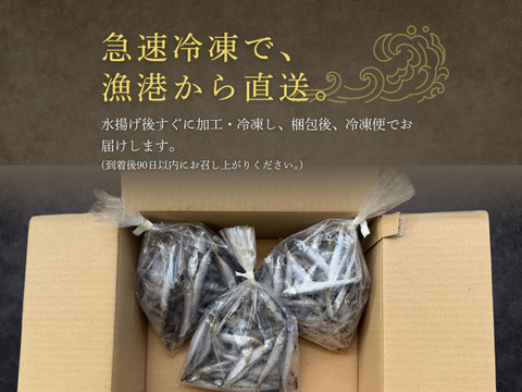【海の精×天日干し】小魚の無添加干物（750g）