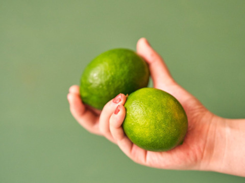 箱込約3㌔　グリーンレモン　収穫後にワックス、防腐剤、防カビ剤不使用