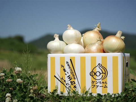 まもなく完売 今だけの食べ比べ 淡路島黄たまねぎ 真っ白な白玉ねぎ ハーフ ハーフセット １０kg 兵庫県産 食べチョク 農家 漁師の産直ネット通販 旬の食材を生産者直送