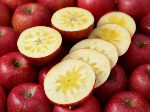 サンふじS規格　大野農園を代表する品種「りんごの王様」18～14個程度（約5ｋ）