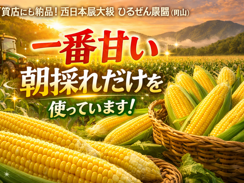 スイートコーン茶 コーン茶より甘い 7g×10包（10L分）国産 無添加  甘いとうもろこし茶 砂糖不使用 デカフェ 水出し ノンカフェイン メール便