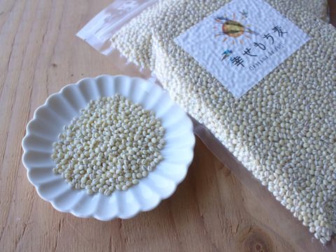 令和6年産　もちっプチっ食感が癖になる！岡山西大寺幸せもち麦（2kg（１ｋｇ×２））