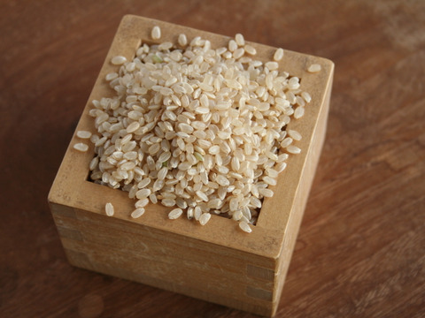 【季末セール、30%OFF】特別栽培米　お米の甘み際立つ千葉県産こしひかり「かもまい」玄米（10kg）（お休み中の合鴨田んぼで育てました！）
