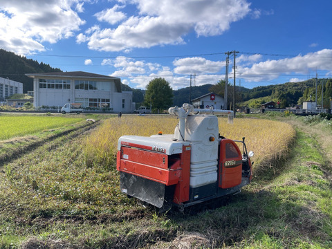 【2025年度産】［精米］自然栽培コシヒカリ3kg（富山県氷見産）