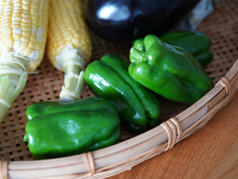 【旬の野菜セット・8種】群馬・六合の伝統野菜や幻の419キャベツ等