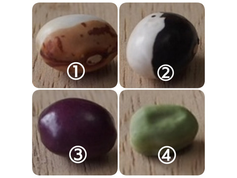【選べる4種】ぽっけの新豆セット【北海道自然栽培】メール便