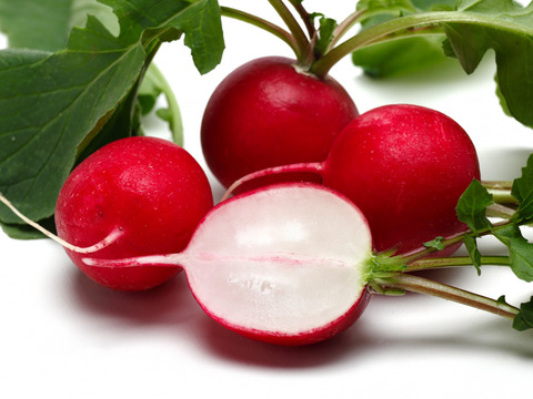 京都産ラディッシュ　よくばり1kgセット（大玉20個以上）