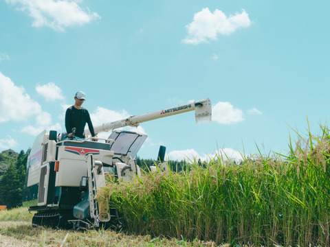 令和8年米　特別栽培米コシヒカリ 10㎏