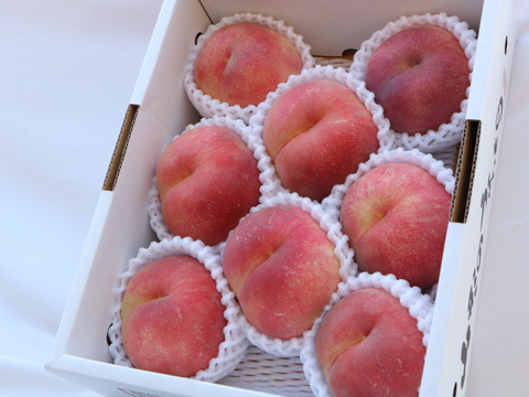 山形の夏ギフト・希少桃「陽夏妃」まもなく収穫！香り高く贈り物に喜ばれる逸品　２㎏